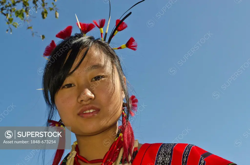 Woman of the Lotha tribe with traditional headdress at the annual Hornbill Festival, Kohima, Nagaland, India, Asia