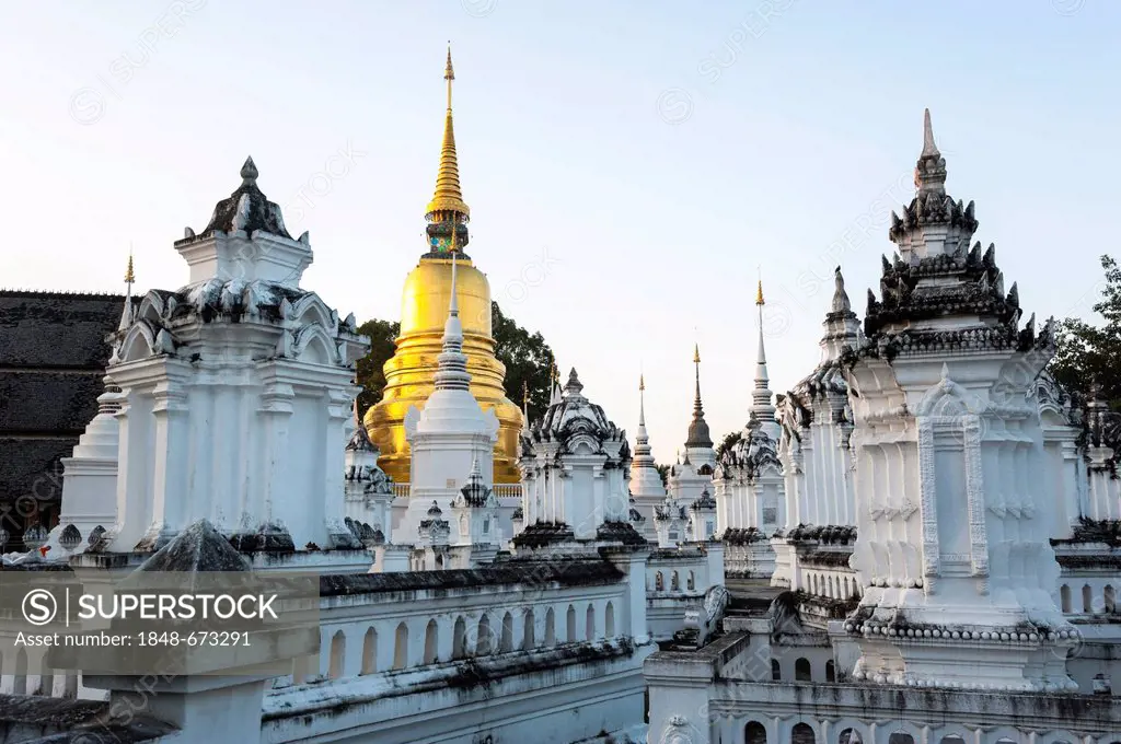 Golden pagoda or chedi, Wat Suan Dok, Chiang Mai, northern Thailand, Thailand, Asia