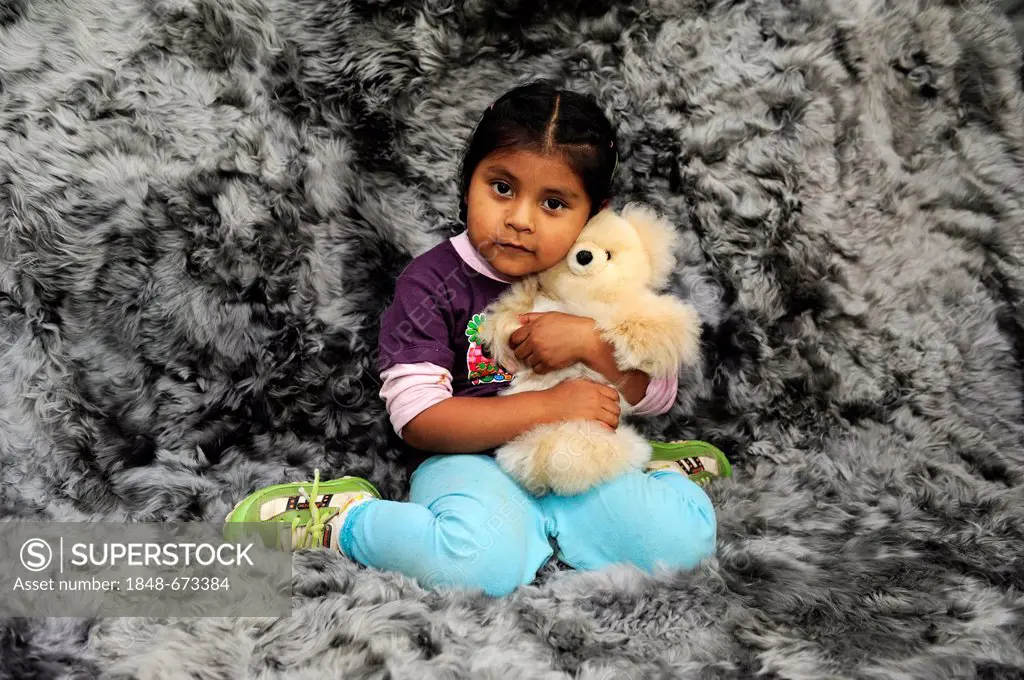 Girl with indigenous facial features hugging a teddy bear, production of soft toys and carpets from alpaca fur in a small family business, Pachamac, L...