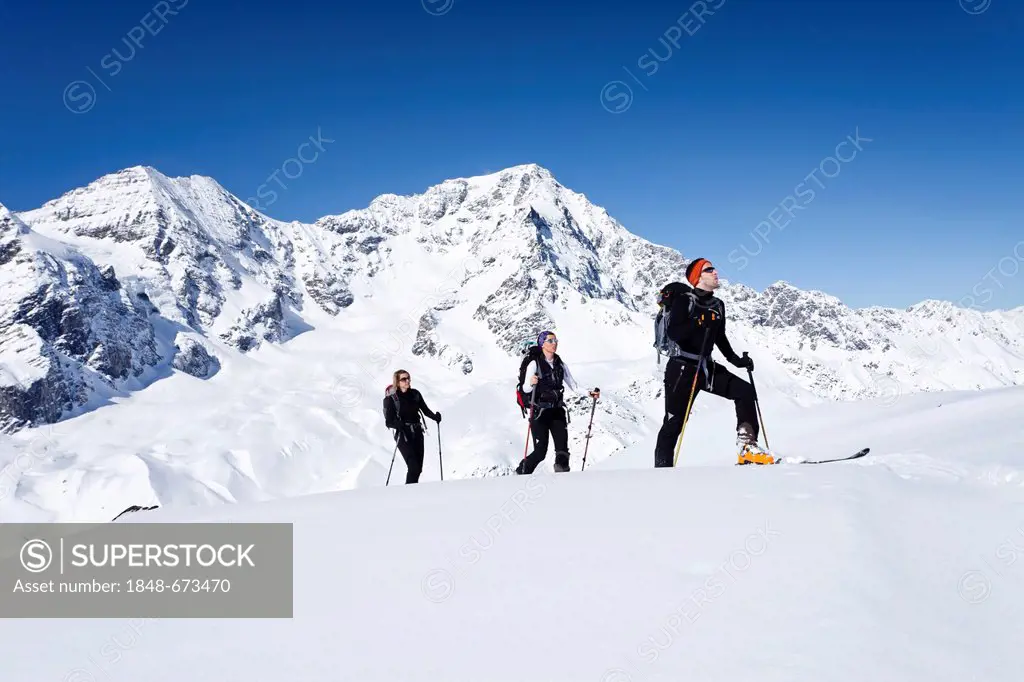 Ski touring, ascending to Mt. Hintere Schoentaufspitze, Solda in winter, behind Mt. Ortler and Mt. Zebru, South Tyrol, Italy, Europe