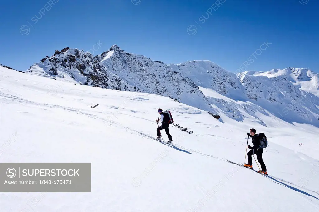 Ski touring, ascending to the Madritschjoch, Solda in winter, behind the Madritschspitze peak, South Tyrol, Italy, Europe