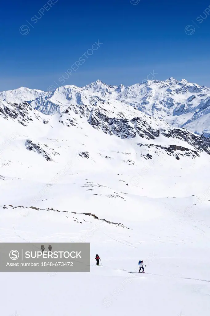 Ski touring on the Madritschjoch overlooking the Martell Valley, Solda in winter, behind the Koenigsspitze peak, South Tyrol, Italy, Europe