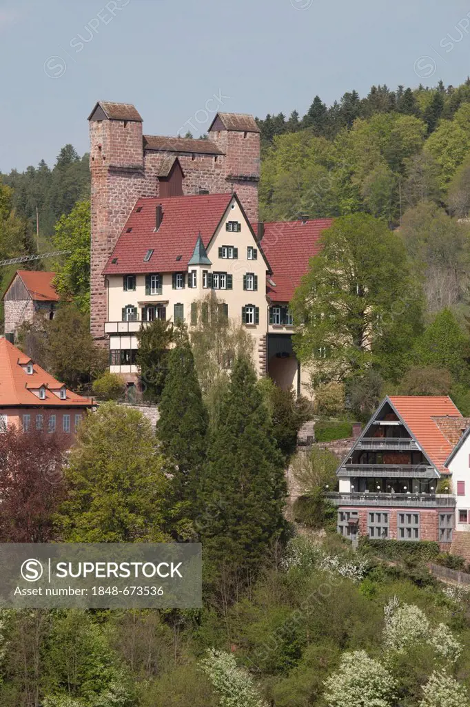 Medieval castle, Berneck, Altensteig, Black Forest mountain range, Baden-Wuerttemberg, Germany, Europe