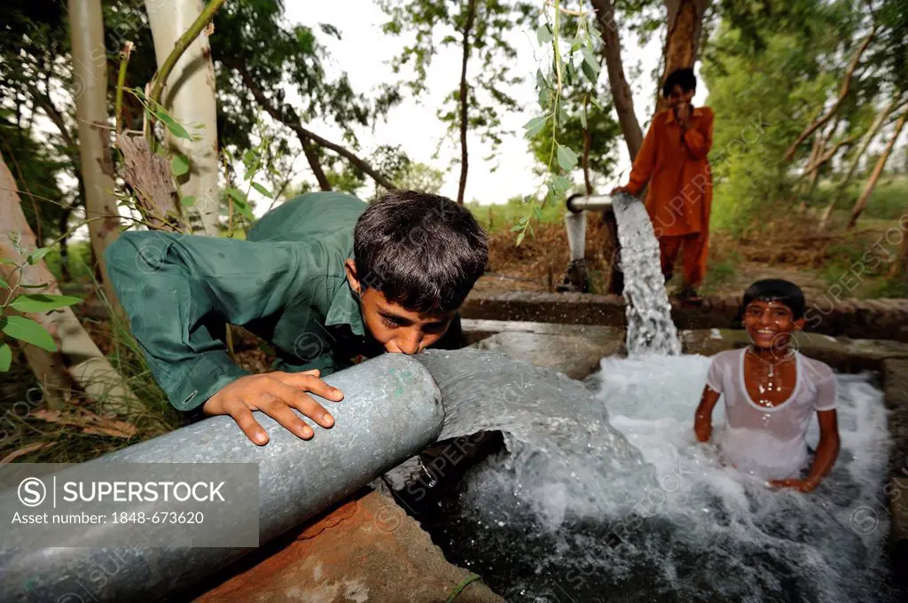 Children cooling off at the catchment of a spring that is fed by water pipes, Basti Lehar Walla village, Punjab, Pakistan, Asia