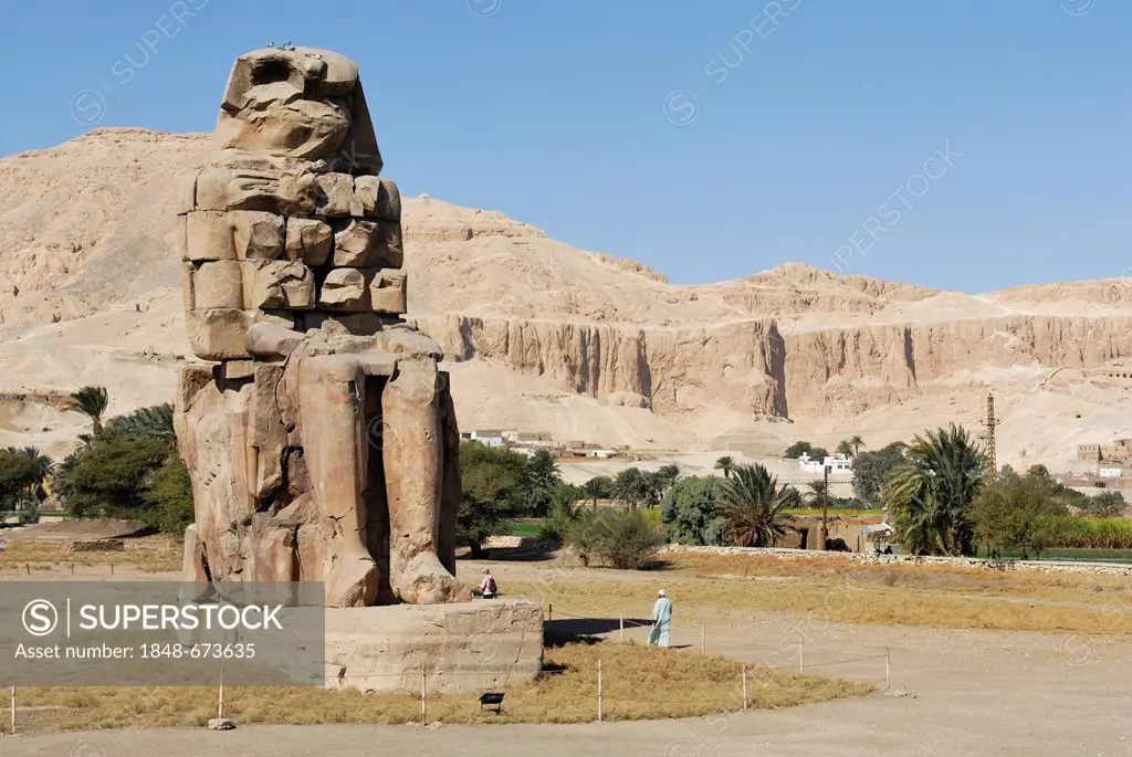 Colossi of Memnon, Thebes West, Deir el-Bahari, Luxor, Nile Valley, Egypt, Africa