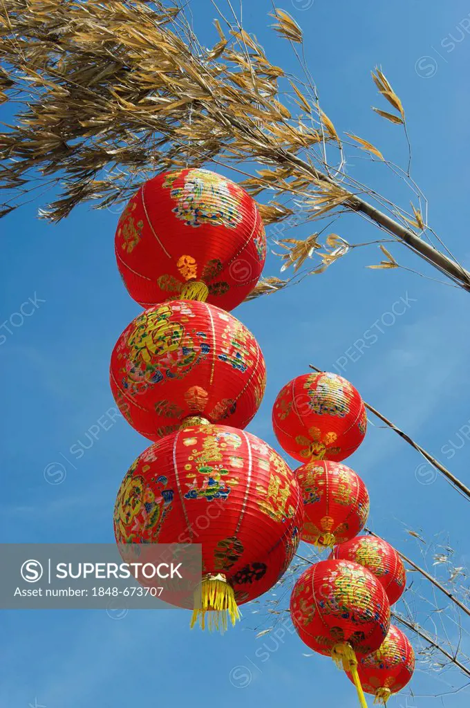 Chinese lanterns on Chinese New Year, Krabi Town, Krabi, Thailand, Southeast Asia, Asia