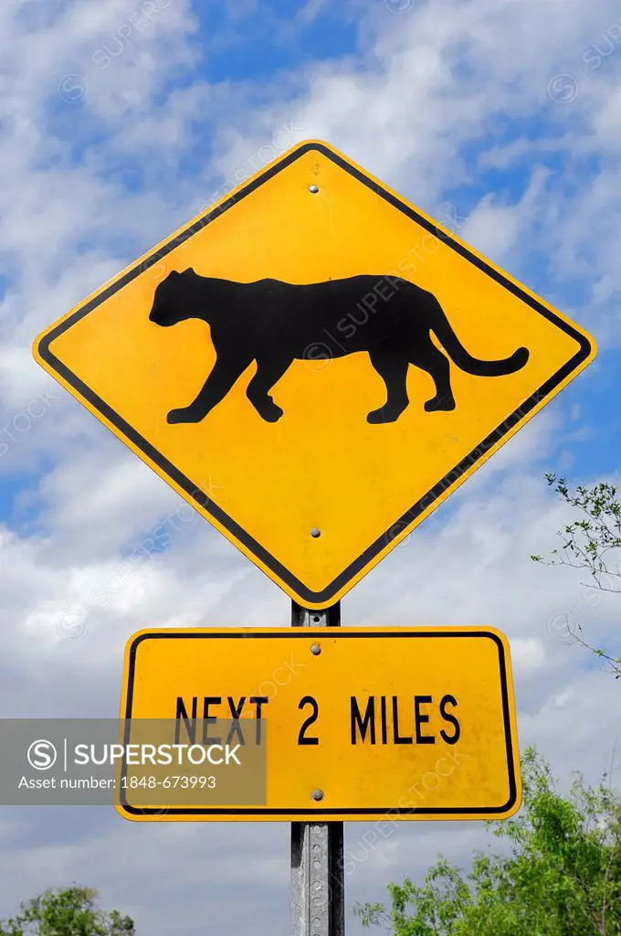 Street sign, Florida-Panther crossing, Everglades National Park, Florida, USA