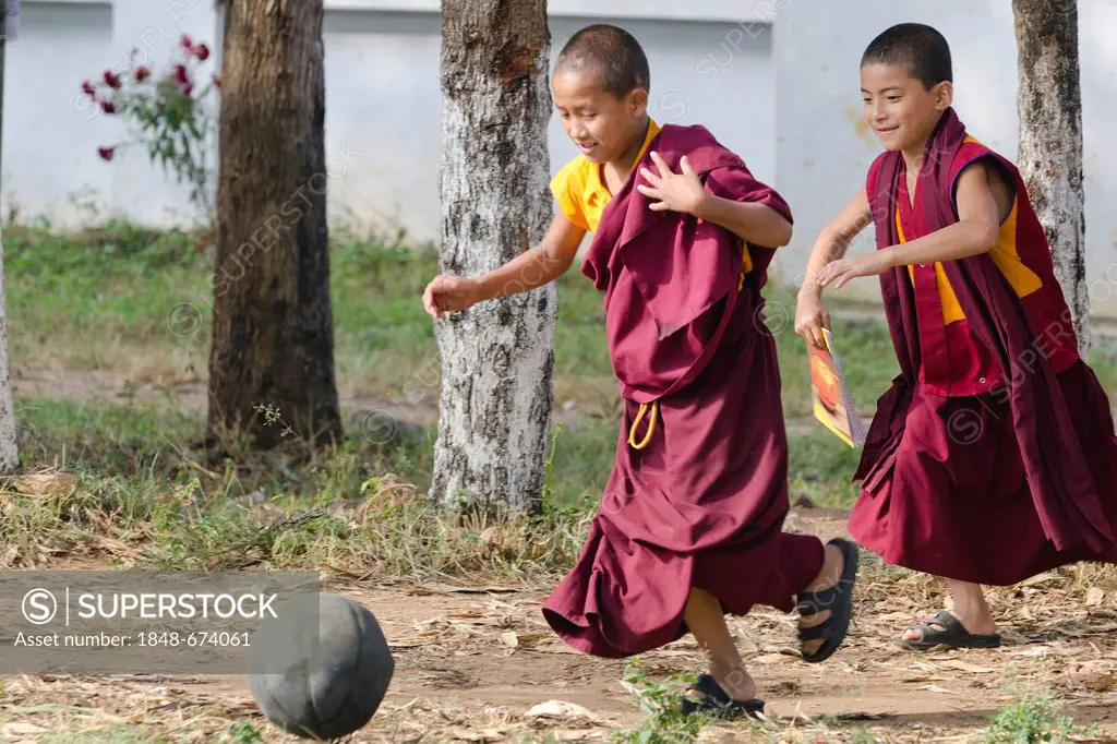 Young monks playing football, Tibetan refugee settlement in Bylakuppe, Mysore District, Karnataka, South India, India, Asia