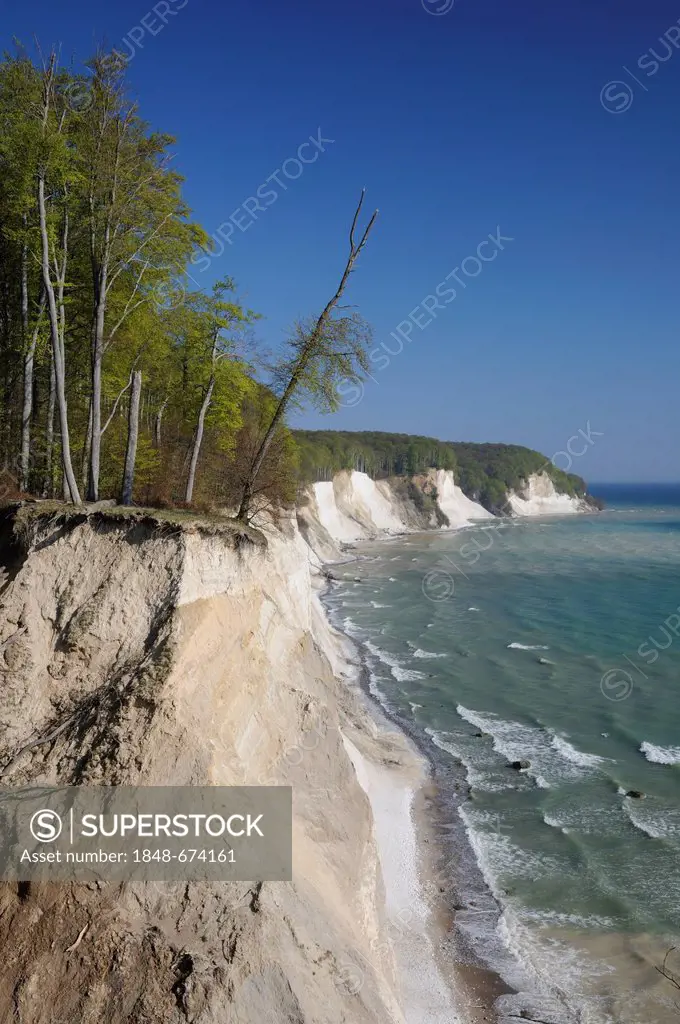 View of the Baltic Sea and the steep coast, Jasmund National Park, Rugia, Ruegen, Mecklenburg-Western Pomerania, Germany, Europe