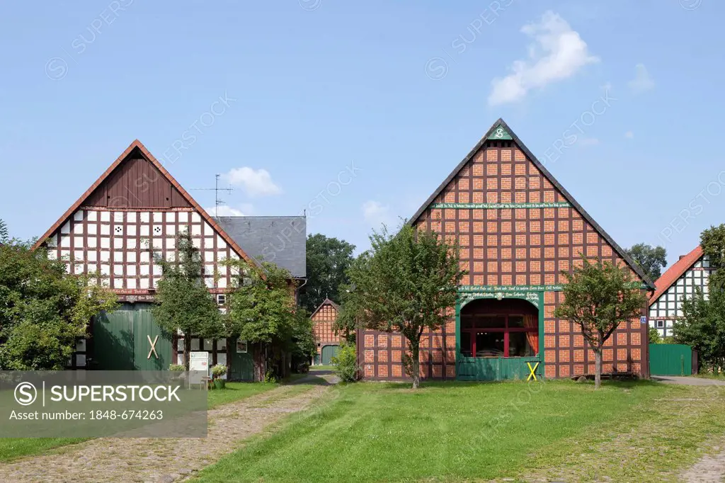 Half-timbered houses in Satemin, Wendland, region Lower Saxony, Germany, Europe