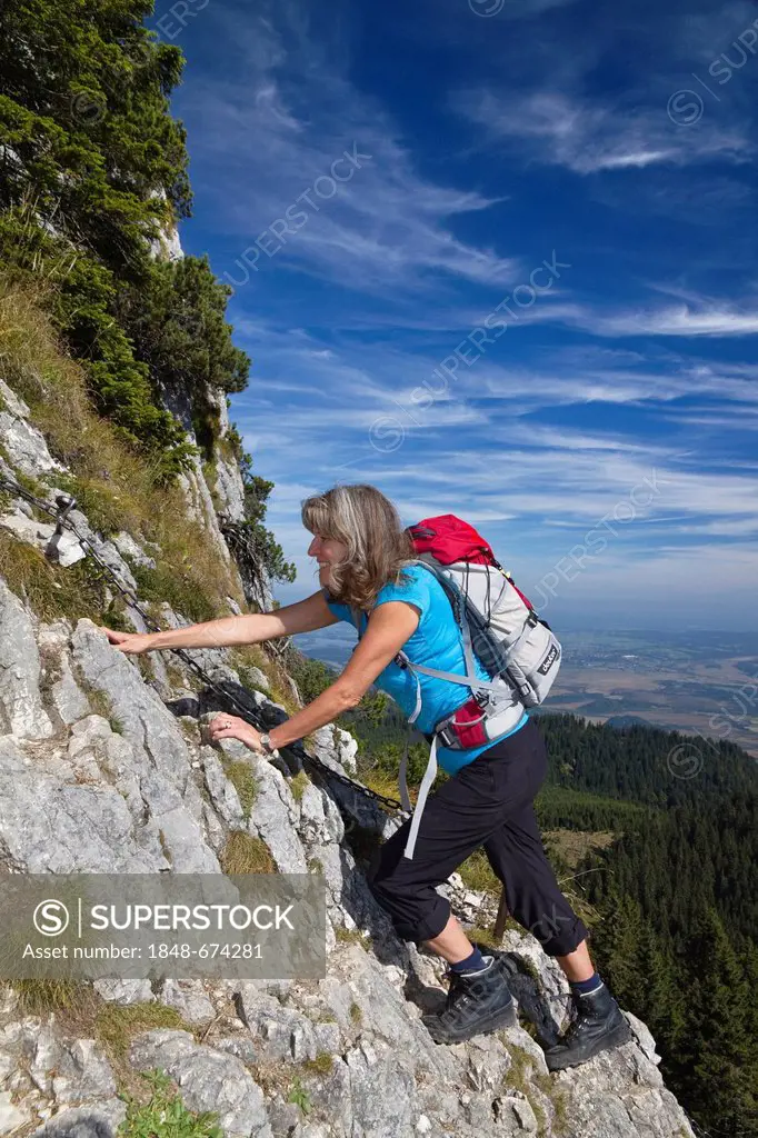 Woman, 45, on a climbing route of Ettaler Manndl Mountain, a sub-peak of Laberberg Mountain in the Ammergau Alps, Ettal, Upper Bavaria, Bavaria, Germa...