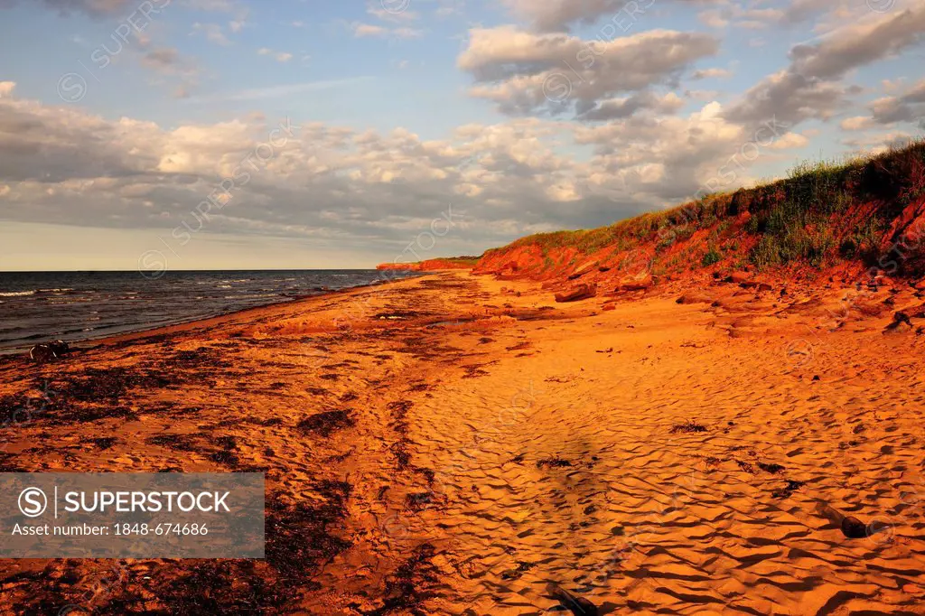 Red sandstone cliffs and beaches, typical coastline in Prince Edward Island National Park, Prince Edward Island, Canada