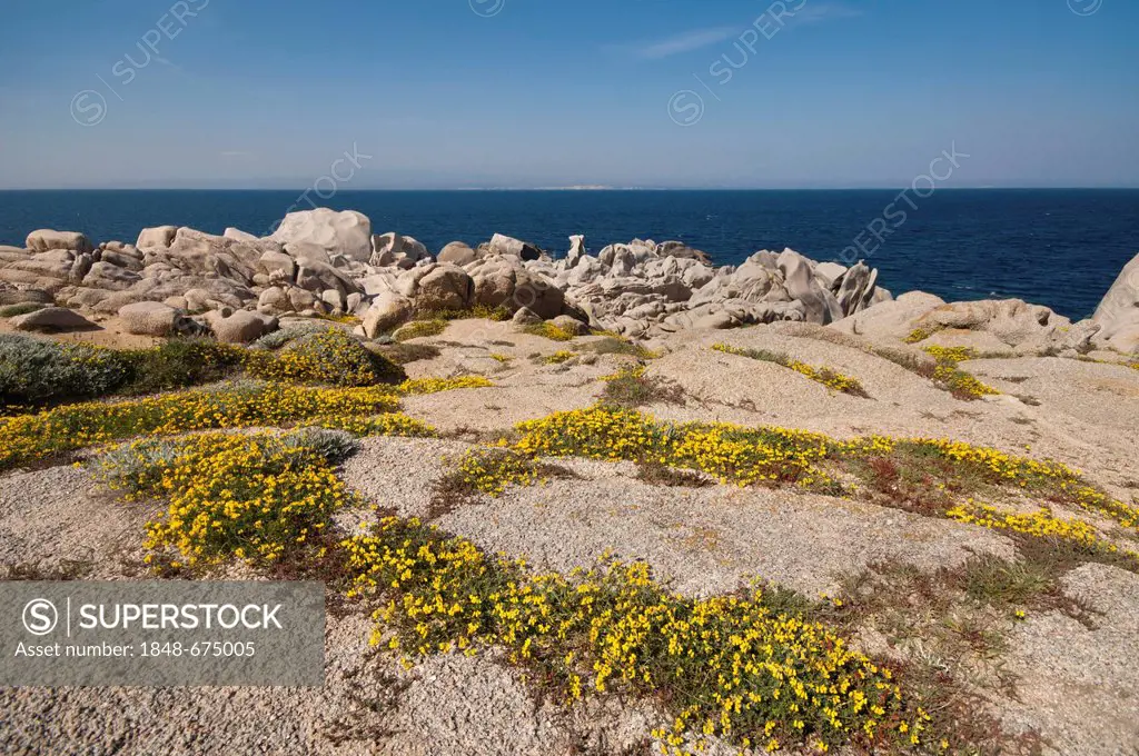 Rock formations, outer Gallura, Palau, Sardinia, Italy, Europe