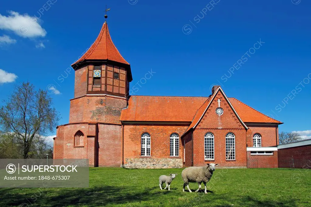 Historic St. Nicolai-Kirche church, Artlenburg, Lueneburg district, Lower Saxony, Germany, Europe