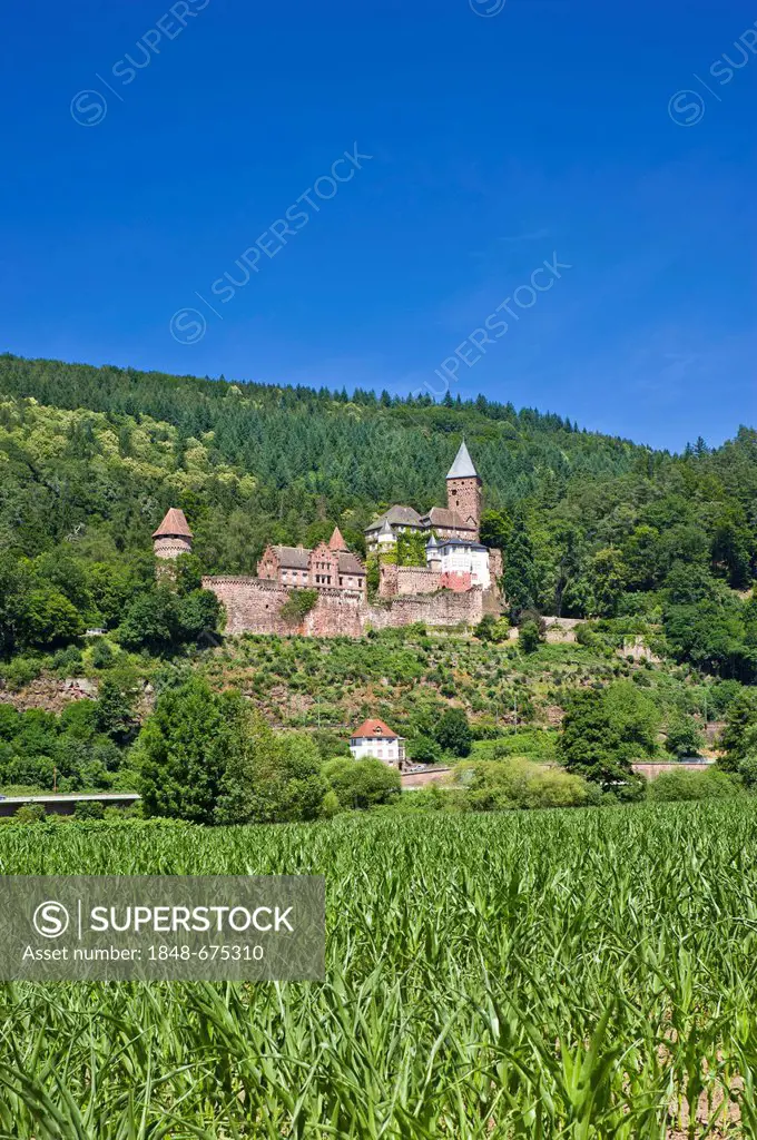 Burg Zwingenberg castle, Zwingenberg, Odenwald, Baden-Wuerttemberg, Germany, Europe