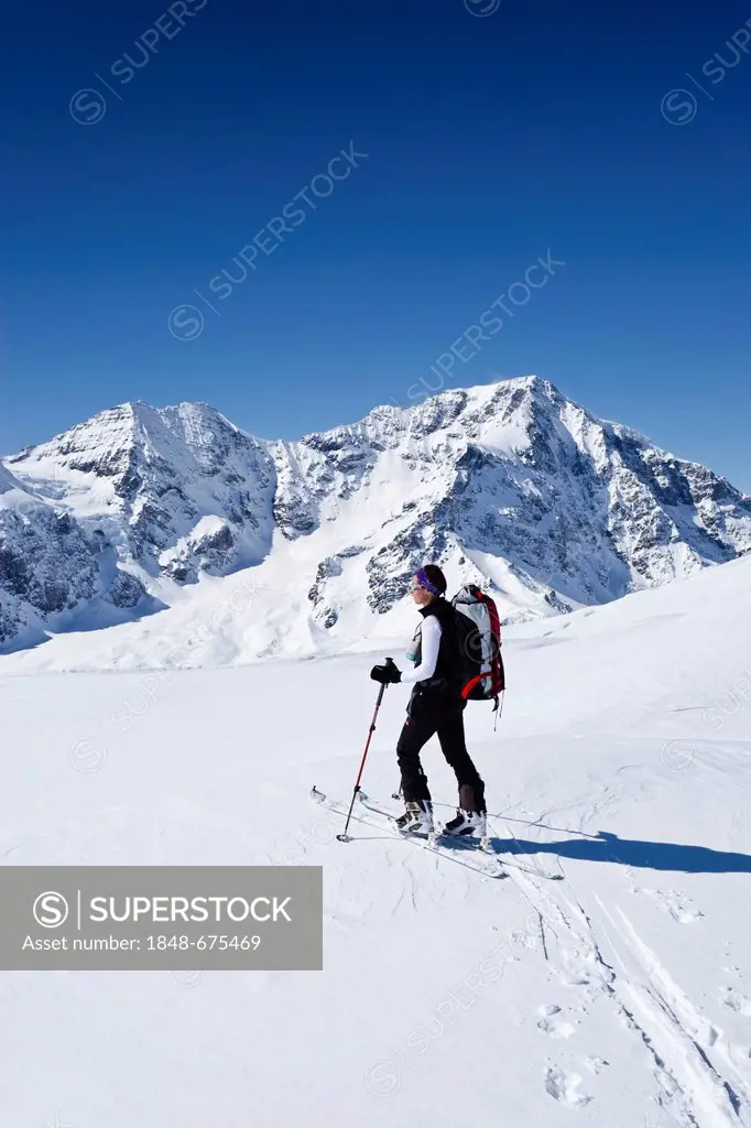 Ski mountaineer climbing Hintere Schoentaufspitze mountain, Sulden in winter, Zebru mountain and Ortler mountain at the back, province of Bolzano-Boze...