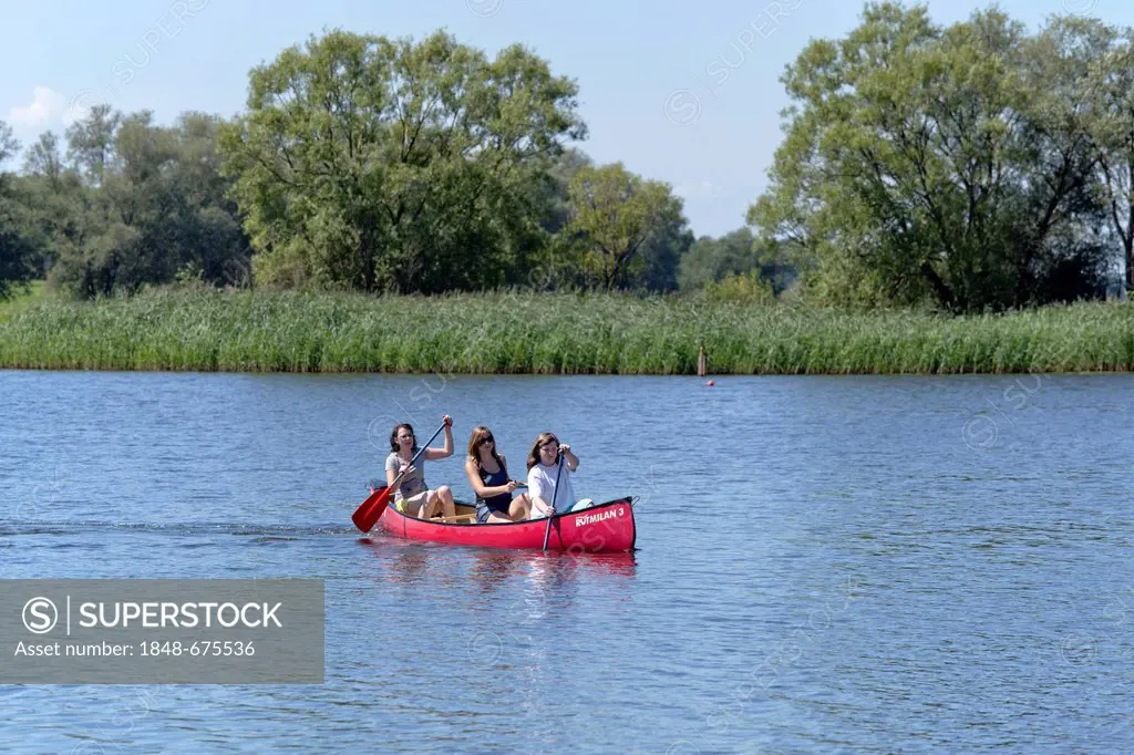 Canoeing on Lake Gartow, Naturpark Elbufer-Drawehn nature reserve, Lower Saxony, Germany