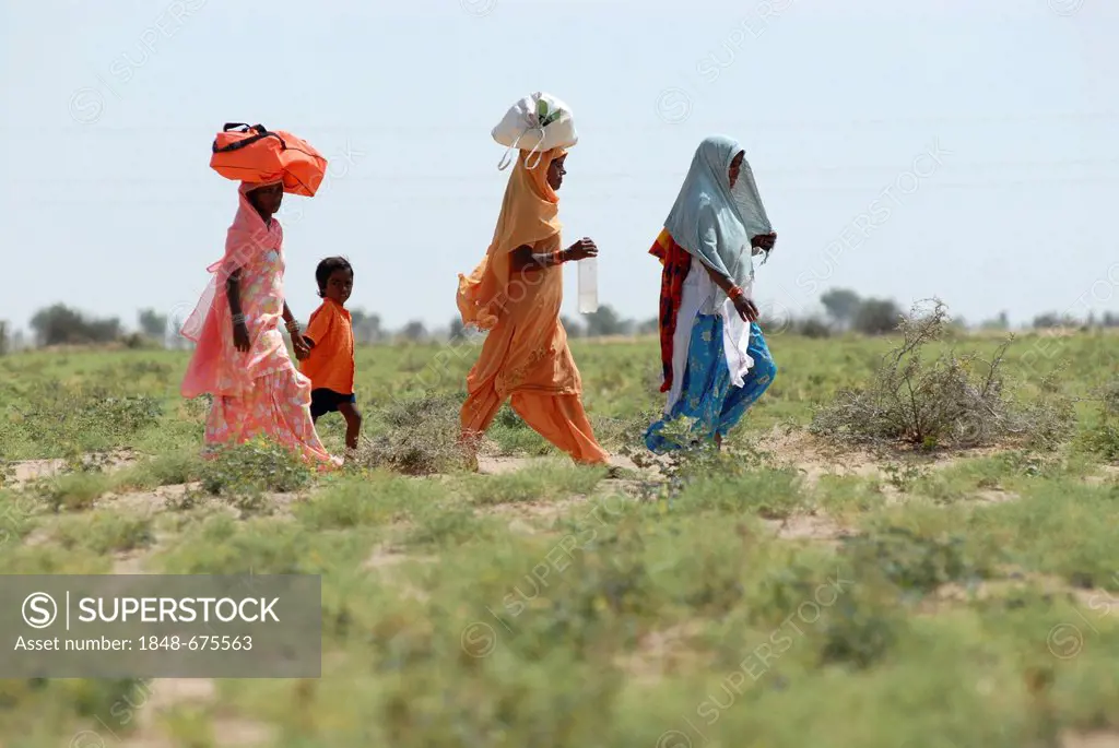 Ram Devra pilgrims, Thar Desert, at Pokaran or Pokhran, Rajasthan, North India, India, Asia