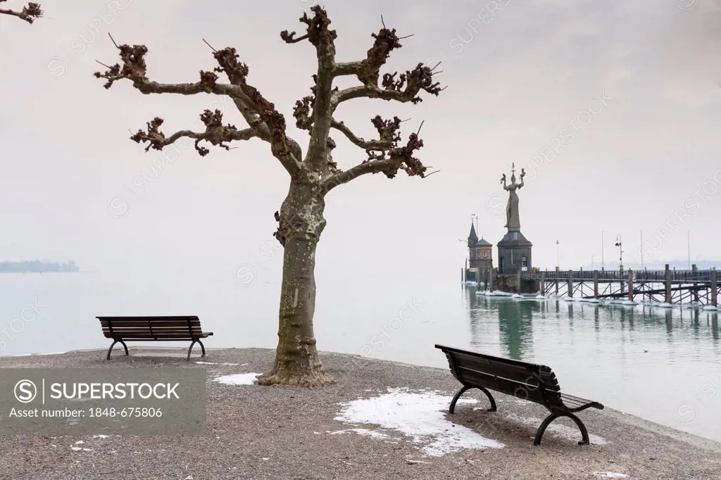 Park benches opposite the harbour entrance of Konstanz in winter, Baden-Wuerttemberg, Germany, Europe