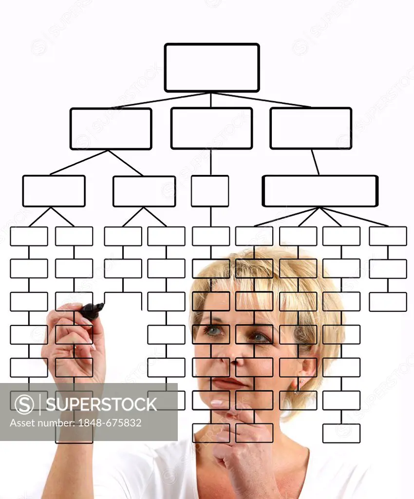 Woman drawing an organisational chart