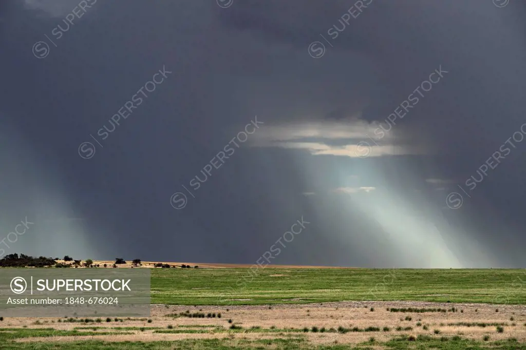 Storm over farmland, Carnamah, Western Australia, Australia