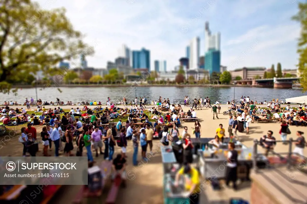 Young people on the Main river, behind the Financial District, miniature view, tilt-shift effect, reduced depth of field, Frankfurt am Main, Hesse, Ge...