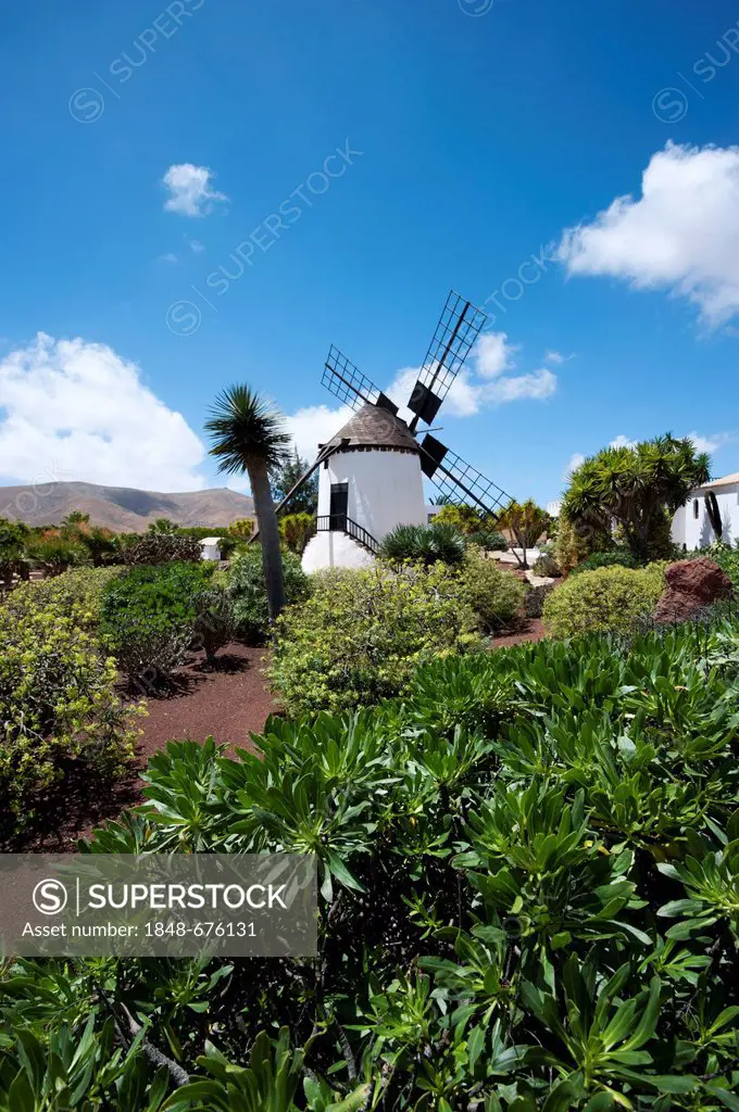 Molino de Antigua, windmill in the open-air museum of Antigua, Fuerteventura, Gran Canaria, Canary Islands, Spain, Europe