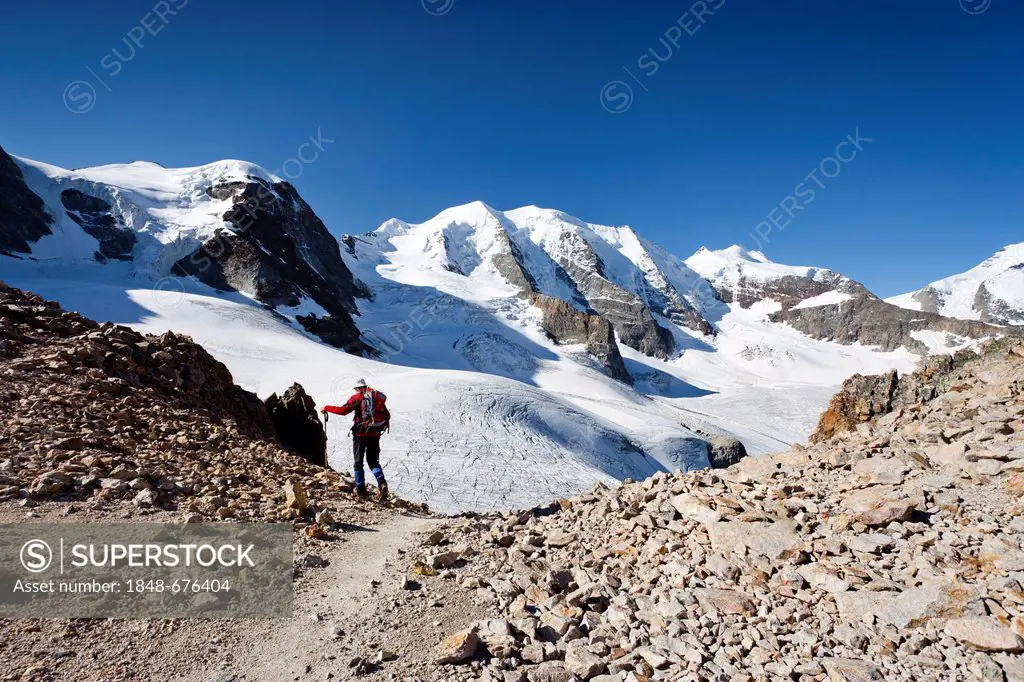 Climbers during the ascent of Piz Palue, Pers Glacier in front of Piz Palue, with Bellavista Mountain on the left and Piz Cambrena on the right, Griso...