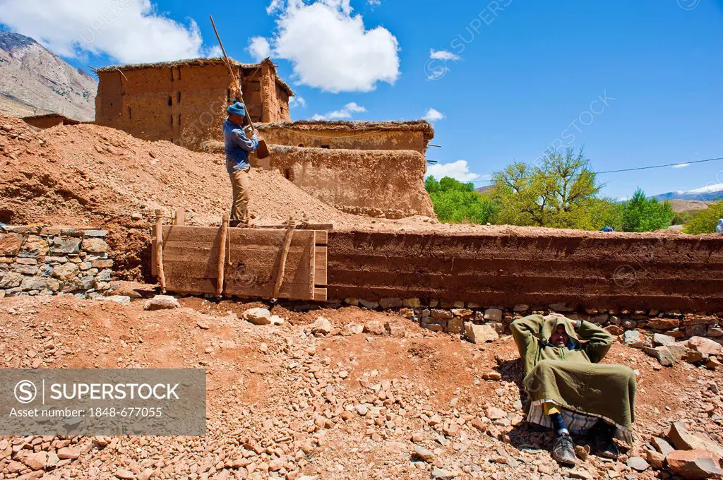 Worker building a rammed-earth wall for a new house, the clay is compacted in a mould box with a wooden pestle, Ait Bouguemez, High Atlas Mountains, M...