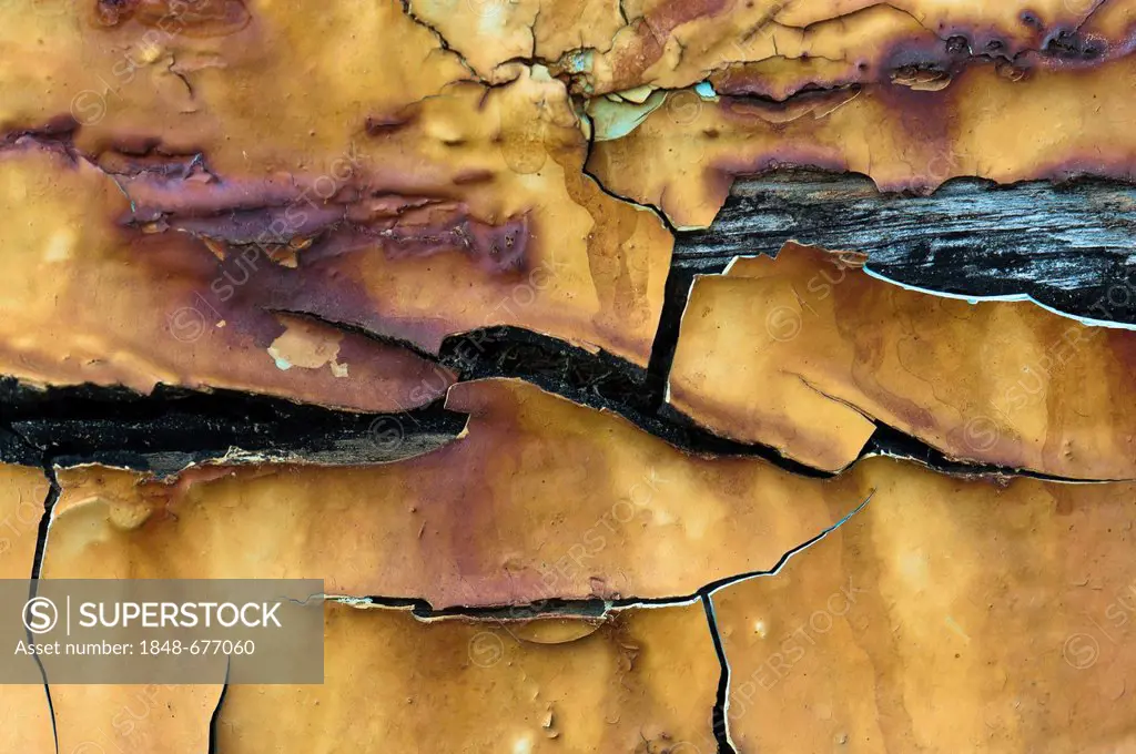 Rusty paint residues on wood