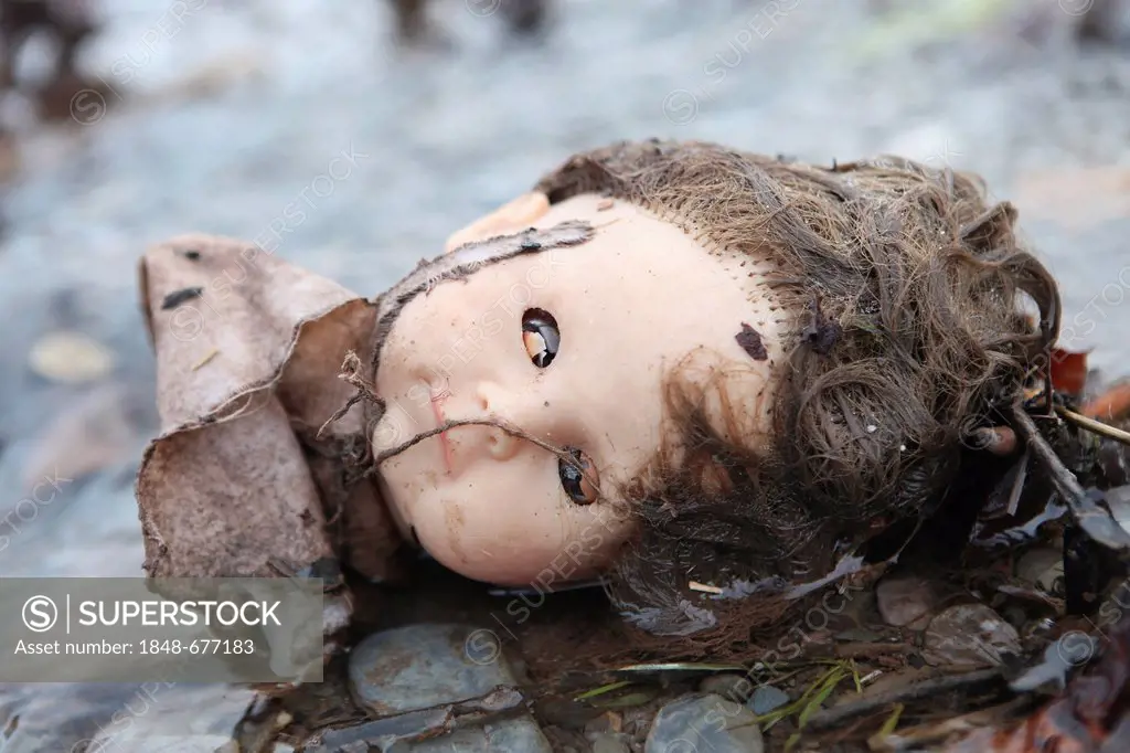 Doll's head, damaged and torn off the body, lying on the street