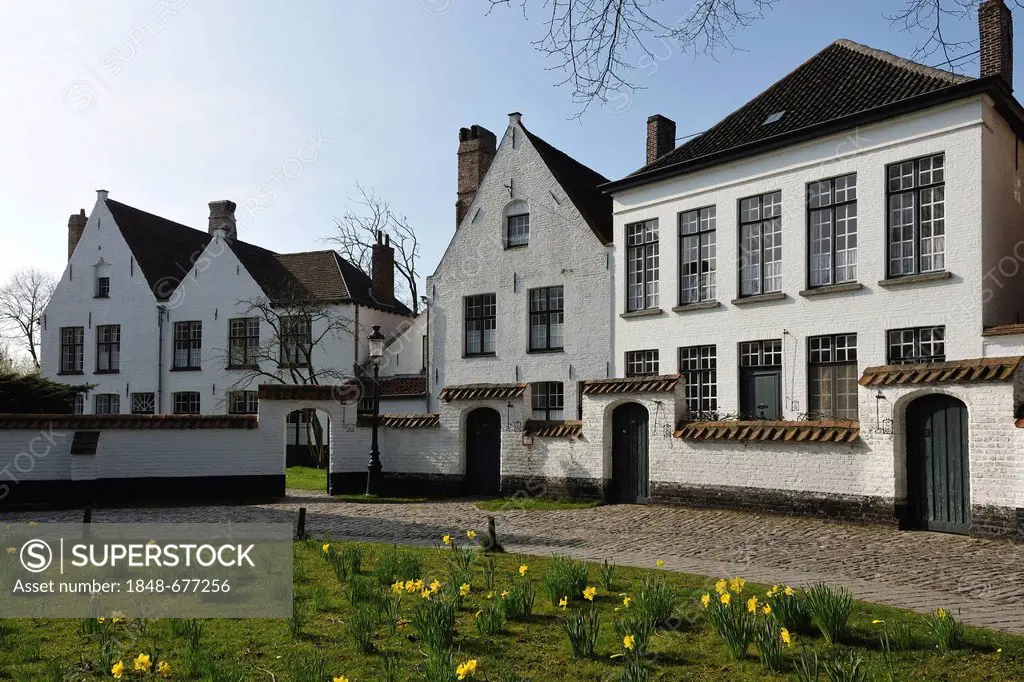 Houses in the convent, beguinage, of Bruges, Flanders, Belgium, Europe