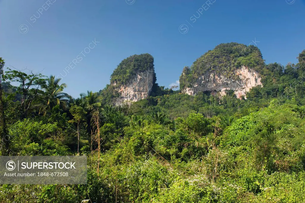 Karst rocks near Ao Tha Len, Krabi, Thailand, Asia