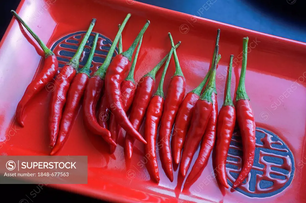 Chili peppers (Capsicum), spicy hot fruit from Thailand, Asia
