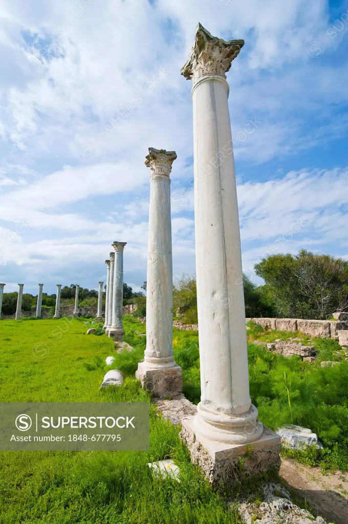 The Roman archaeological site of Salamis, Turkish part of Cyprus
