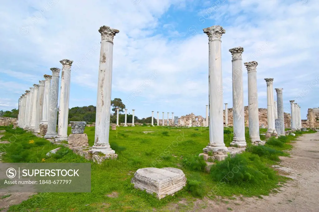 The Roman archaeological site of Salamis, Turkish part of Cyprus