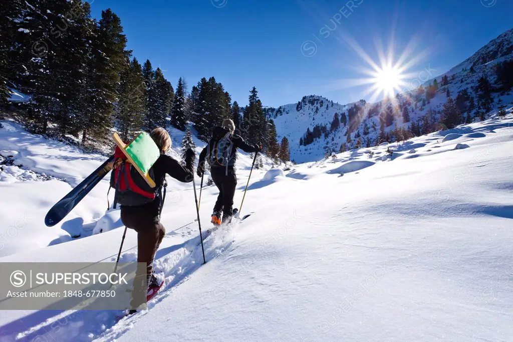 Snowshoe walkers on the way up to Durnholzer Joechl ridge, Sarntal valley, Durnholzer Joechl ridge at the back, Joch, province of Bolzano-Bozen, Italy...