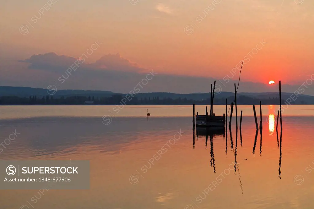 Fish traps in the first morning light, Iznang, Lake Constance, Konstanz district, Baden-Wuerttemberg, Germany, Europe
