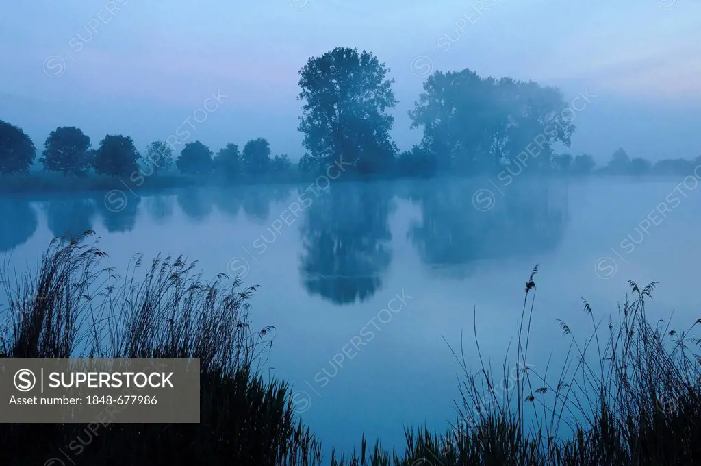 Blue hour, dawn at a fish pond in Thuringia, Germany, Europe