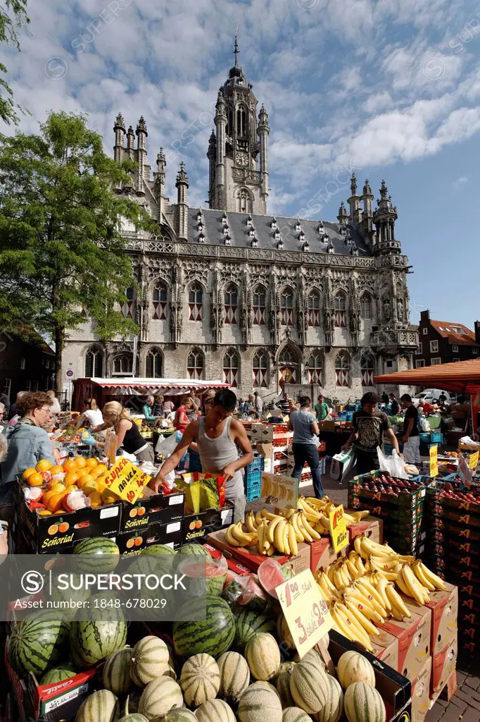 Farmers market in front of the historic town hall in Middelburg, Walcheren, Zeeland, Netherlands, Europe