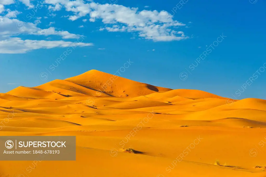 Sand dunes of Erg Chebbi, Sahara, southern Morocco, Morocco, Africa