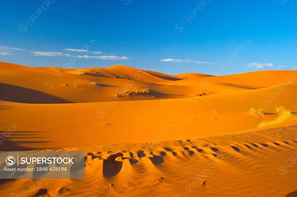 Sand dunes of Erg Chebbi, Sahara, southern Morocco, Morocco, Africa