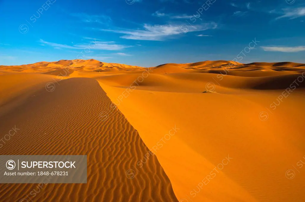 Sand dunes, Erg Chebbi, South Morocco, Morocco, Africa