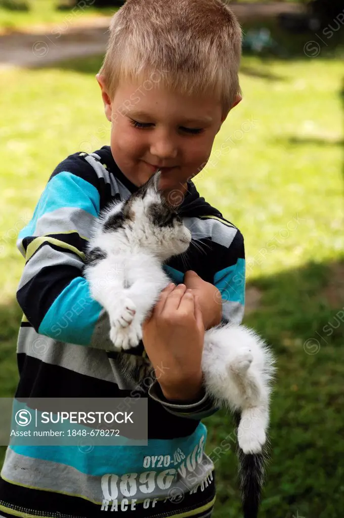 Little boy, 4 years old, carrying a small cat in his arms, Othenstorf, Mecklenburg-Western Pomerania, Germany, Europe