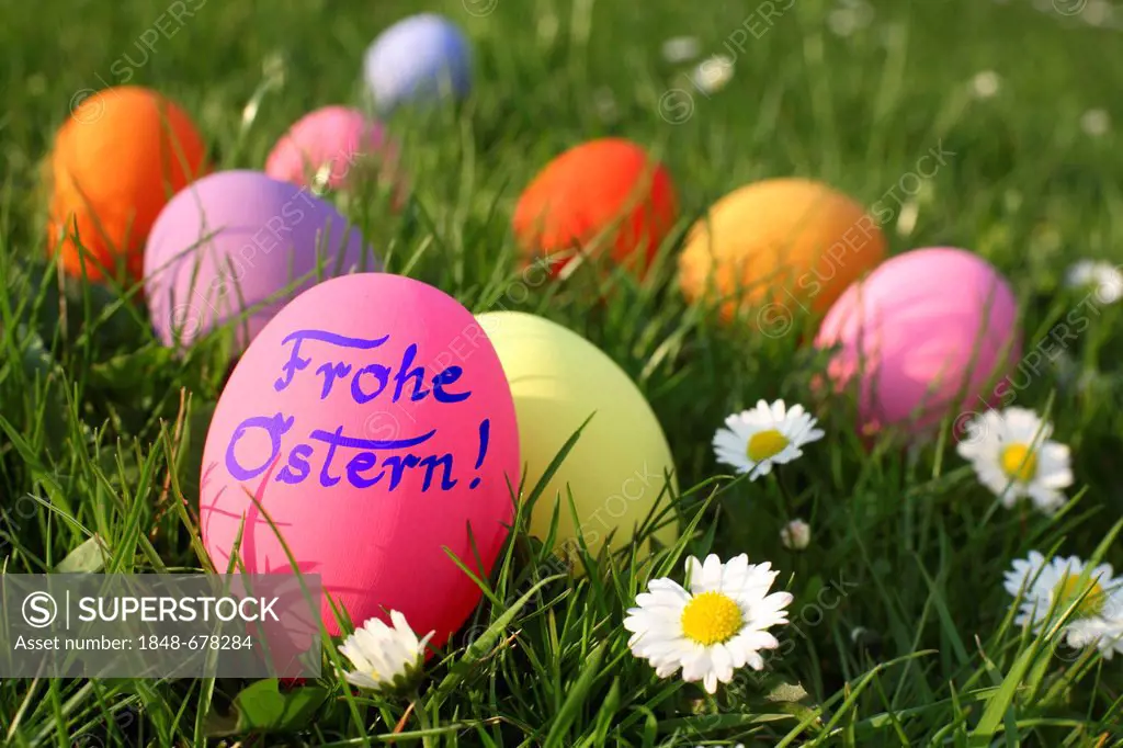 Colourful Easter eggs on a meadow, one with the message Frohe Ostern, German for Happy Easter