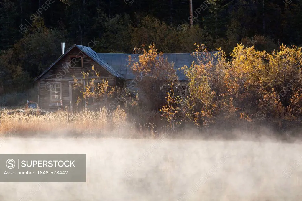Old log cabin in Carcross, fog, steaming water, historic Chilkoot Pass, Chilkoot Trail, Indian summer, leaves in fall colours, autumn, Yukon Territory...