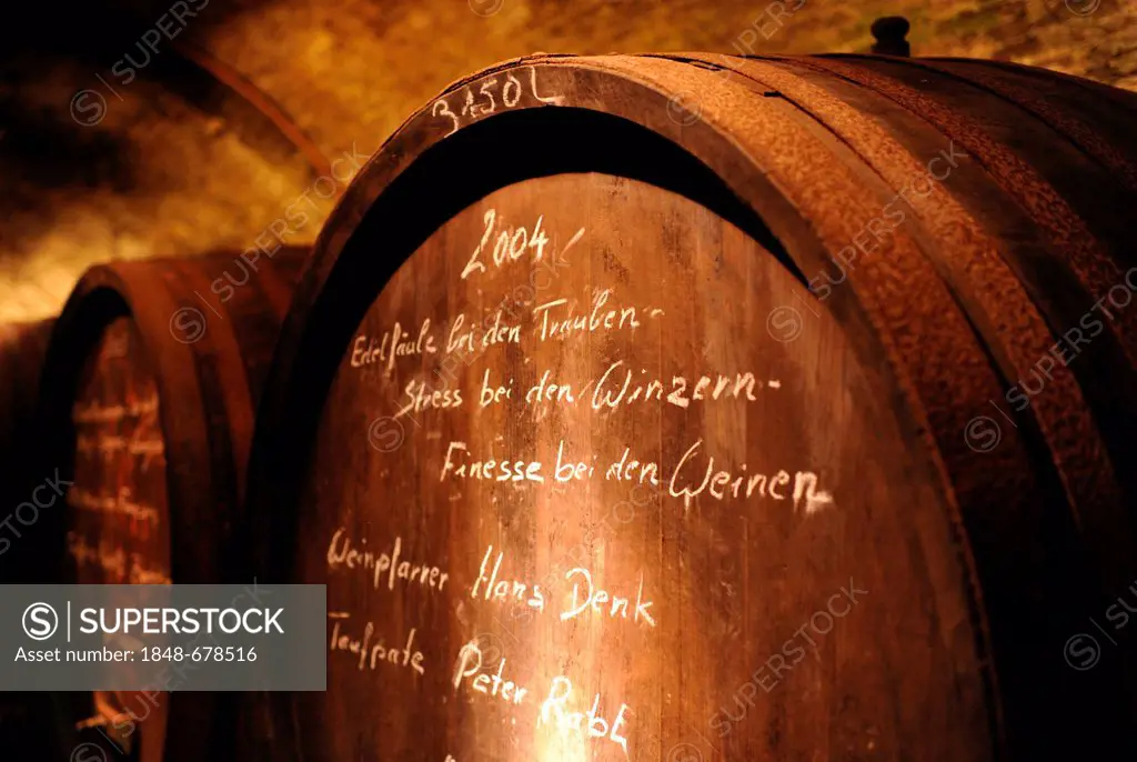 Old wine barrels in a wine cellar, Loisium World of Wine, Langenlois, Kamptal, Wachau, Lower Austria, Austria, Europe