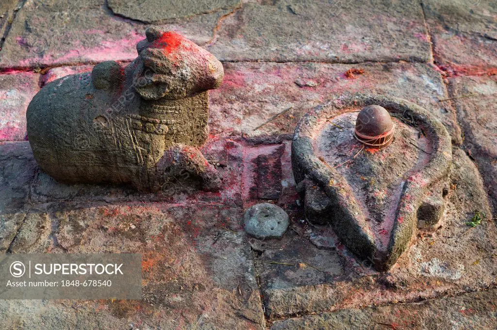 Shiva's mount Nandi and lingam phallic symbol, Ahilya Fort, Maheshwar, Madhya Pradesh, India, Asia