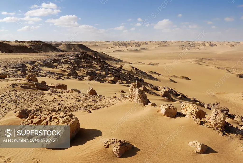 Desert landscape near the Farafra depression, Western Desert, Egypt, Africa