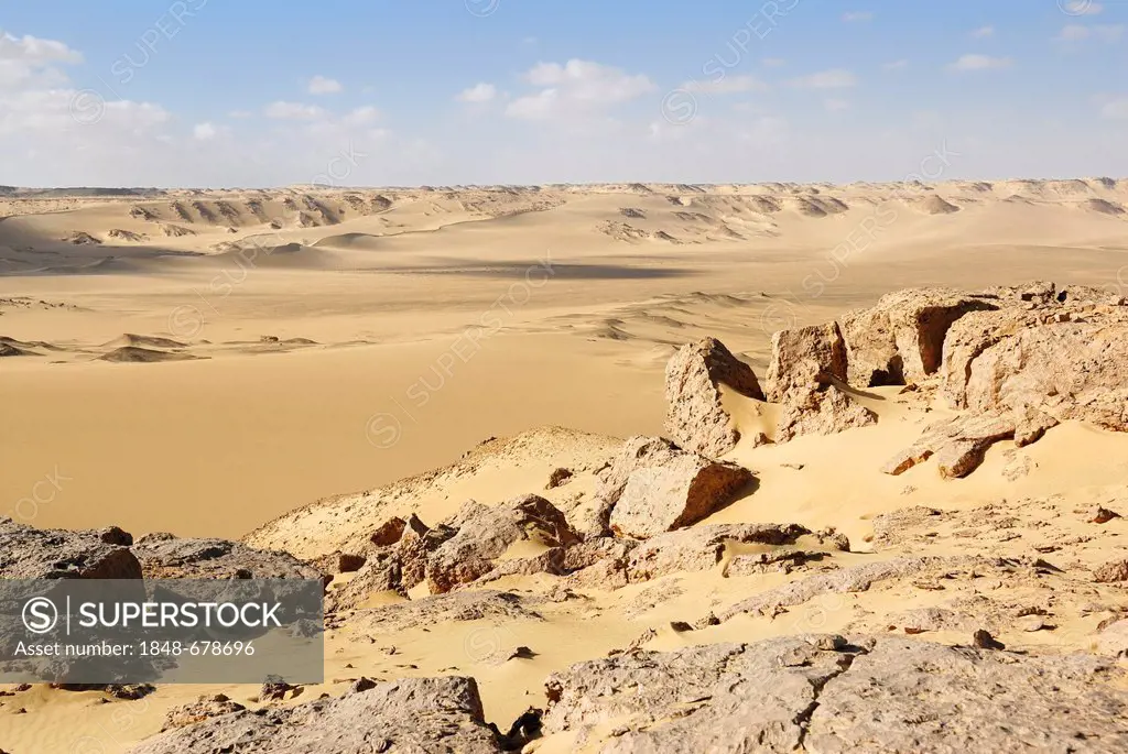 Desert landscape near the Farafra depression, Western Desert, Egypt, Africa